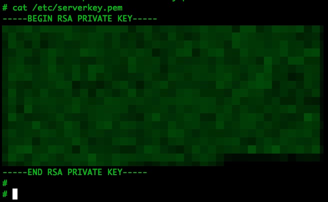 Blurred /etc/serverkey.pem